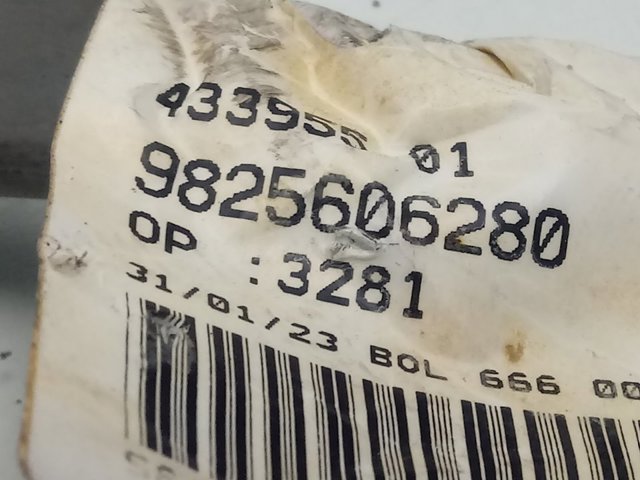 9806779480 Peugeot/Citroen Protector de disco de freno delantero derecho