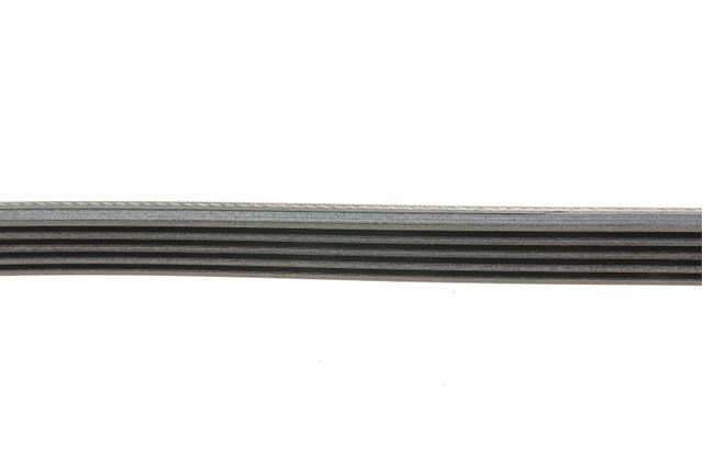 5PK1850 Continental/Siemens Correa poly v