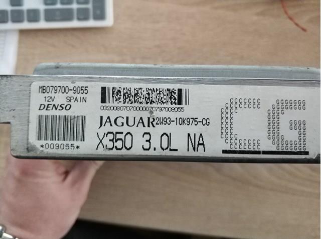 C2C20507 Jaguar