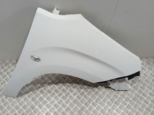 Comprar 9816482380 Peugeot/Citroen Aleta