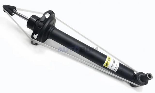 Amortiguador trasero RS280560 Raiso