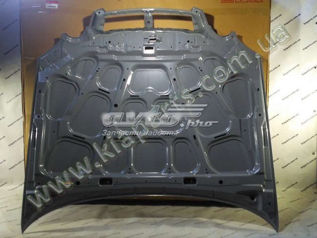 Capó del motor Hyundai/Kia 664003C800 precio, desde 257,00 EUR