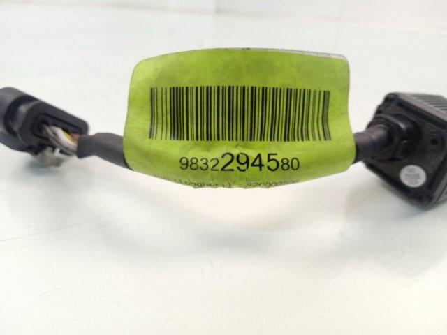 Cámara del sistema de visión 9841924880 Peugeot/Citroen