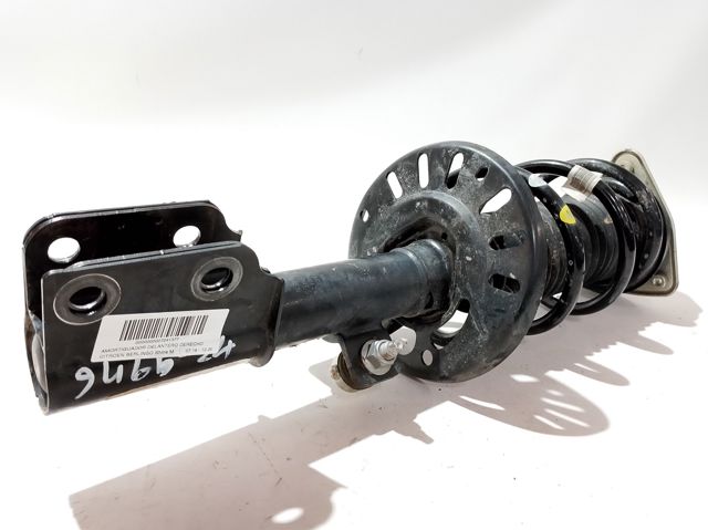 Amortiguadores Peugeot/Citroen 9852218480 precio, desde 100,19 EUR