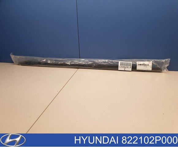 822102P000 Hyundai/Kia