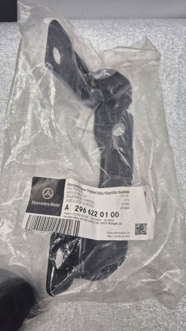 A2966220100 Mercedes 