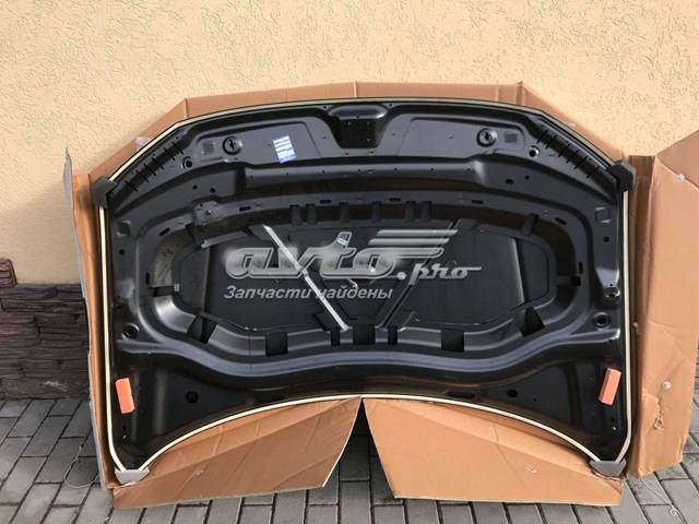 Capó del motor Signeda PVW20053A precio, desde 226,60 EUR
