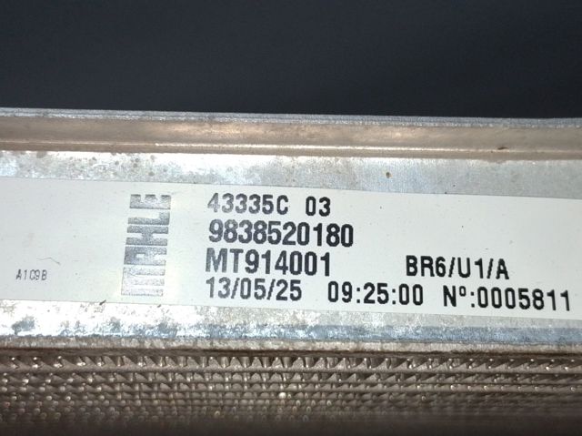 9838520180 Peugeot/Citroen Refrigeración del motor