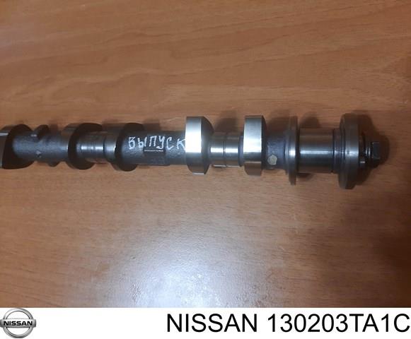 130203TA1C Nissan