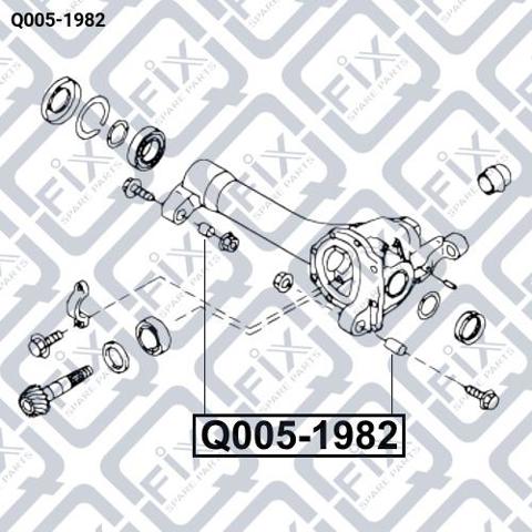 Q0051982 Q-fix Silentblock del soporte del diferencial delantero