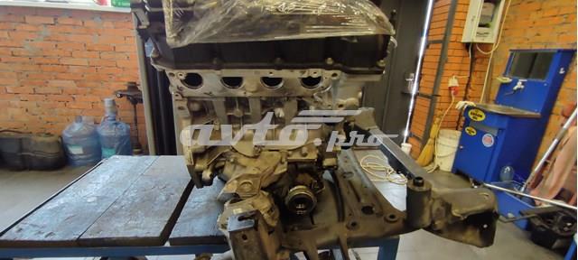 11002420310 BMW motor completo