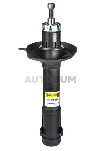 Comprar RS170381 Raiso Amortiguador