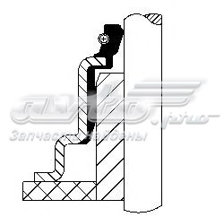 19037050 Corteco sello de aceite de valvula (rascador de aceite Entrada/Salida)