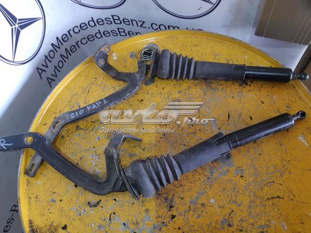 Muelle neumatico maletero Mercedes A0019808064