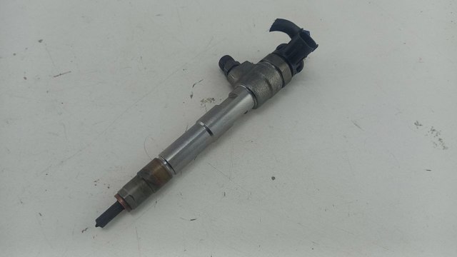 0445110800 Renault (RVI) Inyector de combustible