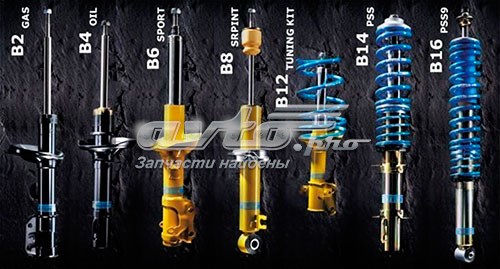 22291738 Bilstein