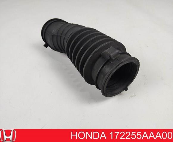 172255AAA00 Honda