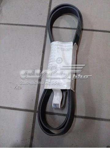 Correa de transmisión trapezoidal Mercedes A9069934096 precio, desde 26,89 EUR