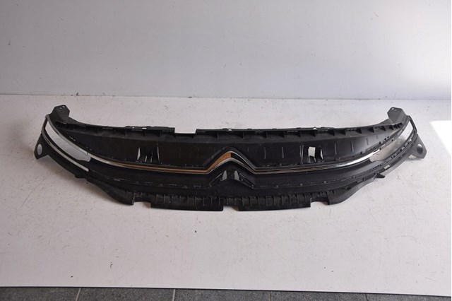 9816749780 Peugeot/Citroen Calandra