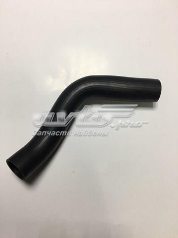 Manguera superior del radiador 254111J100 Hyundai/Kia