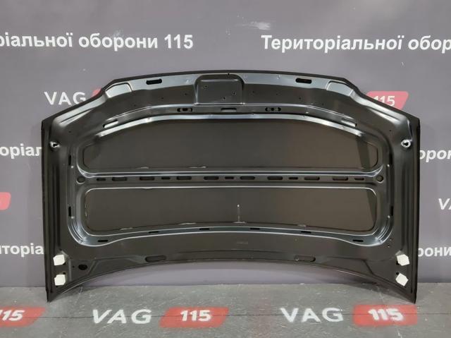 Capó del motor FPS FP7406280 precio, desde 178,84 EUR