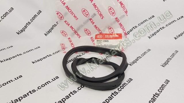 0K65A10155A Hyundai/Kia Empaquetadura De Aceite De Valvula