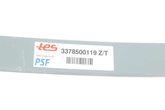 Ballesta, eje trasera  TES 3378500119ZT precio, desde 134,46 EUR