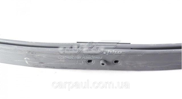 Ballesta de suspensión trasera BK315560EC0019ZT TES