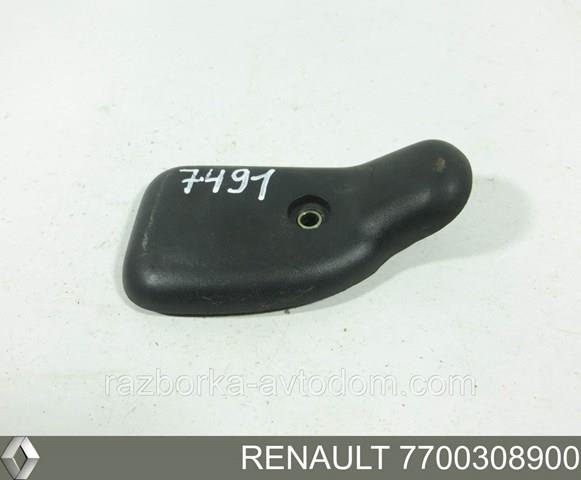 7700308900 Renault (RVI)