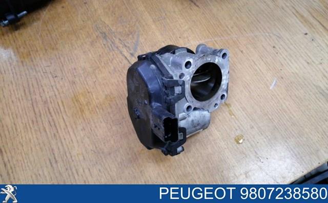 Cuerpo de mariposa completo PEUGEOT 9807238580