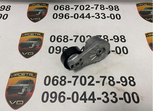 C2P12811 Jaguar