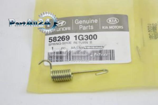 582691G300 Market (OEM)