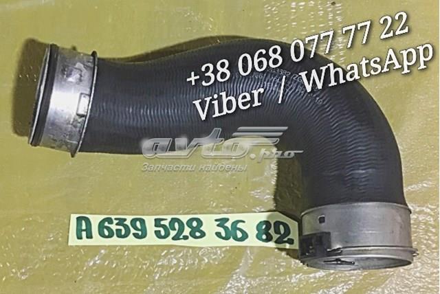 Tubo intercooler 6395283682 Mercedes