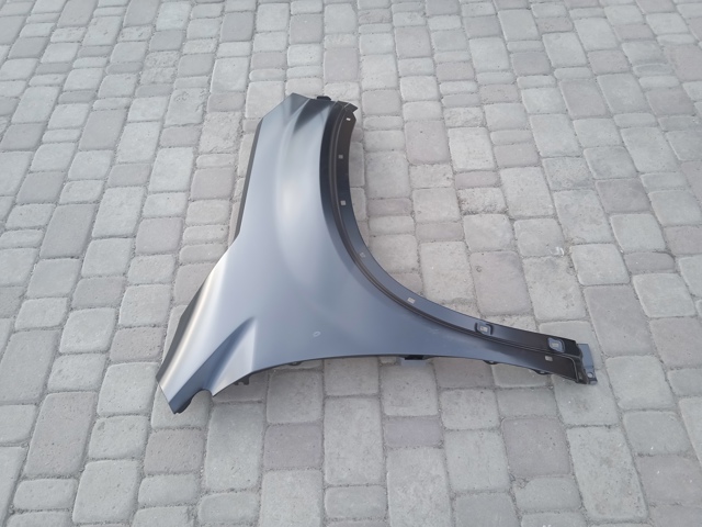 Guardabarros delanteros derecho Polcar 417202 precio, desde 59,44 EUR