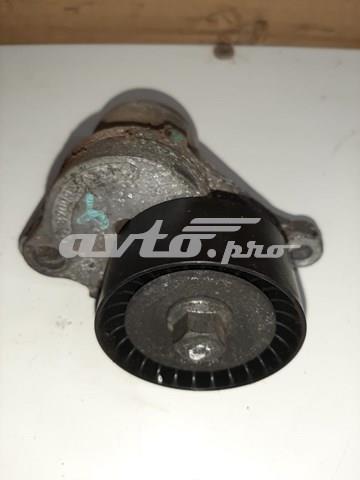8200941079 Renault (RVI) Tensor de correa de alternador