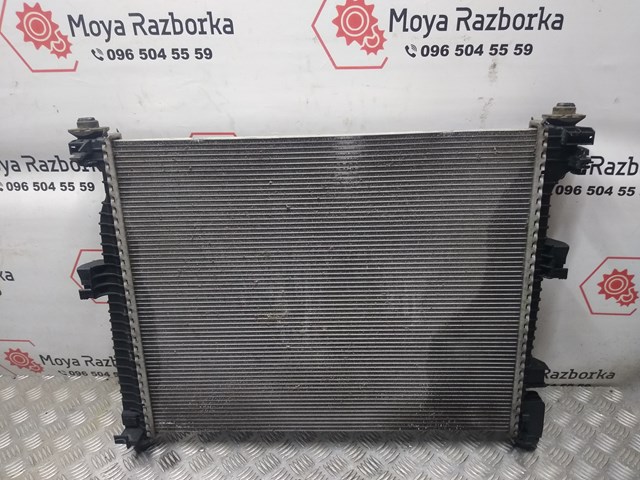 Radiador de água Polcar 3431083