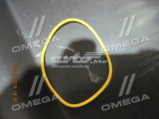 Parachoques trasero 490562950 Tempest