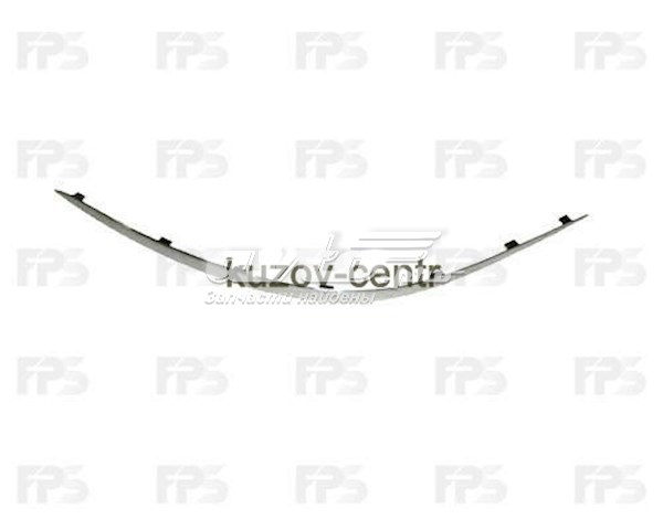 Moldura de paragolpes delantero izquierdo  FPS FP4610917