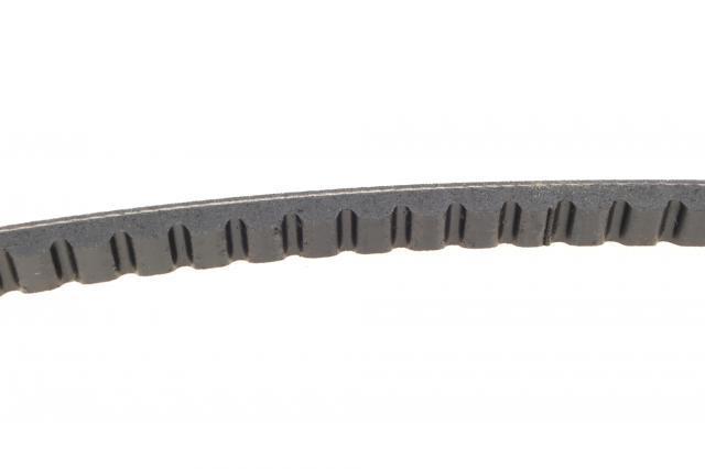Correa de alternador AVX13X725 Continental/Siemens