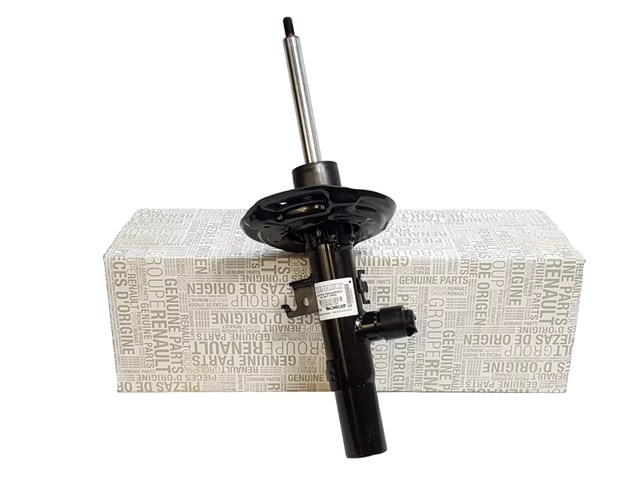 Amortiguador delantero Renault (RVI) 543038400R