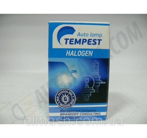 H424V10090WP43T Tempest Bombilla LED