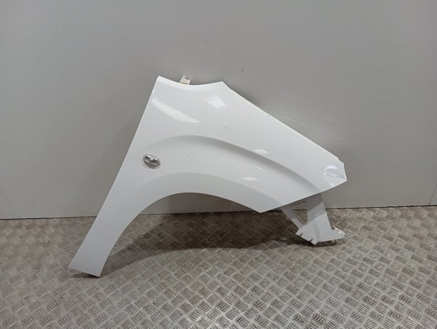Guardabarros delanteros derecho Peugeot/Citroen 9816482380 precio, desde 124,87 EUR