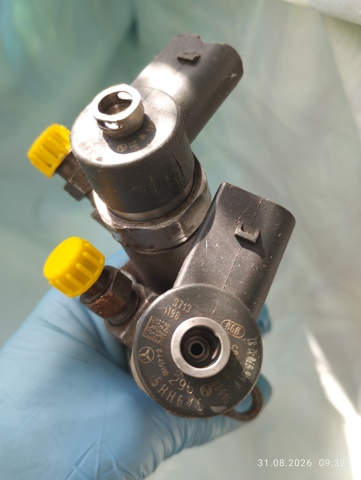 0445110295 Bosch Inyector de combustible