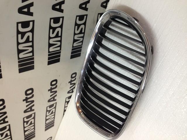 10627110 BMW Calandra