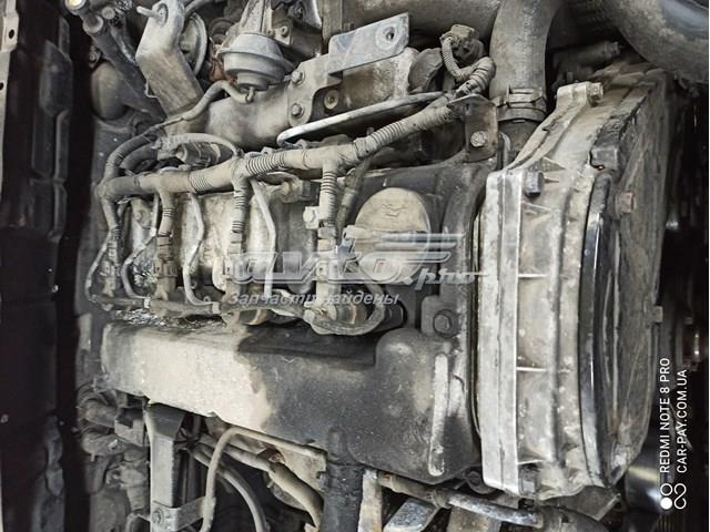 211014AA00 Hyundai/Kia motor completo