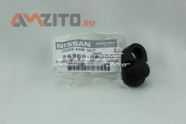 253686P000 Nissan