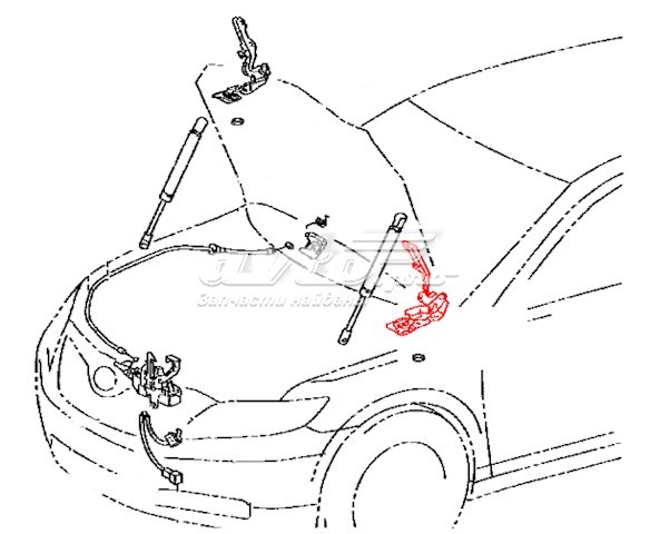 5342033180 Toyota bisagra, capó del motor izquierda