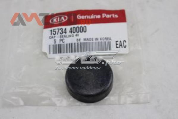 Comprar 1573440000 Hyundai/Kia Tapon culata