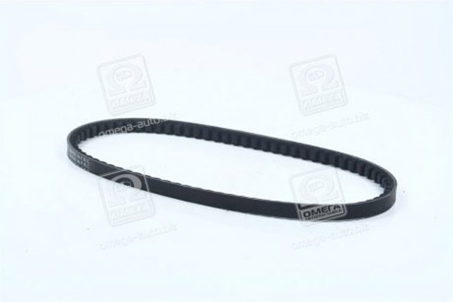 Correa de alternador 13A0750C Dayco
