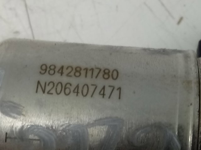 Inyector AdBlue 9842811780 Peugeot/Citroen